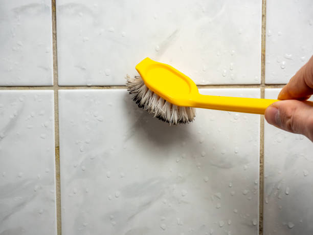 Lepanto, AR Mold Removal Company